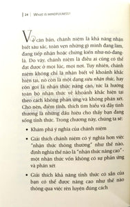 Đường Về Tỉnh Thức - What Is Mindfulness?